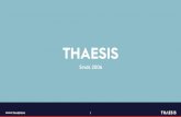 Thaesis – Gespecialiseerd in strategie en innovatie – Gevestigd in Hilversum – Opgericht in 2006