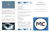 Folder 2011 Moon Consultancy
