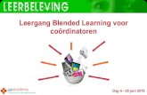 GGZ Ecademy dag 4 - Leergang Blended Learning voor coördinatoren