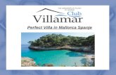 Perfect Villa in Mallorca Spanje