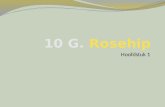 10 g. rosehip, hoofdstuk 1