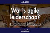 Wat is agile leiderschap?