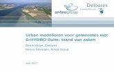 DSD-NL 2017 Urban modelleren voor gemeentes met D-HYDRO Suite - stand van zaken - Steentjes en Meijer