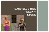 Bacc Blue Hill week 4 Stone