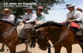 La vida en España - fundatie-knecht-drenth.eu 2015.pdf · Elke dag van het jaar is er wel ergens in Spanje een fiesta aan de gang, deze foto’s maakte ik op verschillende plekken