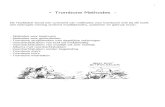 Trombone Methodes · PDF file1-Trombone Methodes - Dit Hoofdstuk bevat een overzicht van methodes voor trombone met bij elk boek een beknopte mening omtrent