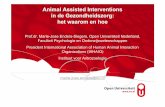 Animal Assisted Interventions in de Gezondheidszorg: het … 5 mei... · Animal Assisted Interventions in de Gezondheidszorg: het waarom en hoe Prof.dr. Marie-Jose Enders-Slegers,