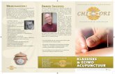Welke klachten ? Daniel Snijders - Chi- · PDF fileECIWO (een micro acupunctuur systeem) volgens grond-legger Prof. Dr. Yingqing Zhang. • Voor een bezoek aan een acupuncturist heeft