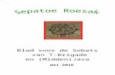 Professioneel rapport - sepatoeroesak.nl mei 2016 aangepa…  · Web viewDie gaan voor. Geregeld volgt op deze bezoeken wat later, ... Maar als ik die droom dan maar niet heb, ...