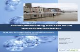 Schadeberekening HIS-SSM en de WaterSchadeSchatteressay.utwente.nl/66335/1/Vreeken_Wouter.pdf · verschillende mogelijkheden tot aanpassing van het model en wat voor invloed deze