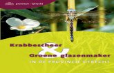COLOFON - Groene Glazenmaker: · PDF fileVOORWOORD In deze brochure leest u alles over de bijzondere band tussen de waterplant krabbescheer en de groene glazenmaker, een libel. In