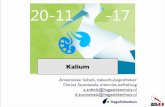 Kalium - haagsenieren.nl rol van kalium.pdf · •Waarom is kalium relevant voor uw praktijk. • Hyperkaliemie: - welke patienten lopen risico (nierinsuf., DM, polyfarmacie) - gevolgen