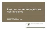 Psycho-en Neurolinguïstiek: een inleidinghomepages.vub.ac.be/~estruys/Psycho en neurolinguistiek.pdf · een inleiding 13 december 2011 ... –Grondlegger van de experimentele psychologie