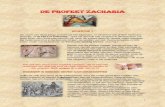 DE PROFEET ZACHARIA - BIBLESPACE VOOR · PDF file · 2017-03-05(18,21) Horens staan symbool voor macht van vorsten, koningen, legerleiders of engelen. (Openb.9:13) De eerste wereldleider,