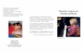 Suzuki voor kind en ouder1 - · PDF filePianoles voor kind en ouder Piano leren spelen volgens de moedertaal-methode (Suzuki-methode): een natuurlijke lesmethode voor kind en ouder