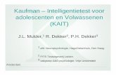 Kaufman – Intelligentietest voor adolescenten en ... · PDF fileevalueren van gedrag (‘Blok 3' functies van brein), 3. Piaget: hoogste stadium van cognitieve ontwikkeling: formeel-logische