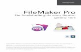 FileMaker Proinfo2.filemaker.com/rs/filemaker1/images/BentotoFileMakerProGuide... · De beste redenen om deze gids te lezen Deze informatieve gids helpt u in een mum van tijd te bepalen
