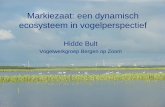 Markiezaat: een dynamisch ecosysteem in vogelperspectief · PDF fileHidde Bult Vogelwerkgroep Bergen op Zoom • Broedvogels ... 1988 - 1997 1997 -2003 2004 nu cm Capaciteit afvoer