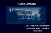 Acute urologie · PDF file · 2010-01-06Lage urinewegen •Acute retentie •Mannen •BPH, Strictuur, Maligniteit, zelden abces prostaat, •Denk bij kind/adolescent aan utriculuscyste
