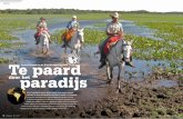 Te paard - horseholiday.com Magazine_Travel Paard.pdf · lucht, met een Cessna, heeft de Pantanal al een deel van zijn geheim laten zien. Nu, eind juni, aan het begin van de droogte