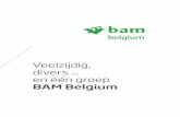 Veelzijdig, divers en één groep BAM Belgium€¦ · 2 Konni kkelij BAM Groep Koninklijke BAM Groep is een succesvolle Europese bouw-groep, die werkmaatschappijen verenigt binnen
