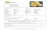 Leonardo - HZPC - Aviko Potato - Creating value from potatoes - HZPC.pdf ·  · 2016-01-12Microsoft Word - Leonardo - HZPC.docx Author: Alice Leijten Created Date: 8/26/2013 7:59:01