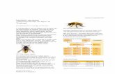 Introductie van nieuwe Allergeenmoleculen van Bijen  … Word - 3gAllergy Reporter 21 Bij en Wesp allergeenmoleculen.docx Author z0023cda Created Date 9/17/2013 3:49:05 PM ...