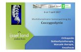 Multidisciplinaire Samenwerking bij Coccygodynie · Orthopedie Bekkenfysiotherapie, Manuele therapie, Anesthesie 6 en 7 april 2017 Multidisciplinaire Samenwerking bij Coccygodynie
