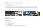 Vervangen of revisie van Bladveren en rubbers van een FIAT ... v1-1.pdf · Vervangen of revisie van Bladveren en rubbers van een FIAT Ducato / Peugeot J5 of Citroen C25 April 2016,