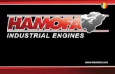 Wat doet HAMOFA? Europa. “Kwaliteit is onze grootste prioriteit” Revisie van dieselmotoren HAMOFA staat bekend om haar ervaren mecaniciens en moderne, hightechmachines wat resulteert