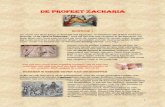 DE PROFEET ZACHARIA - BIBLESPACE BIJBELSTUDIE … ·  · 2017-03-15afgoderij met Baal en Moloch in dat dal was de oorzaak van hun ballingschap als straf. Toch komt er hier nieuw