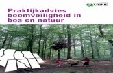 Praktijkadvies boomveiligheid in bos en natuur - vbne.nl · Inhoud 1 Inleiding 3 2 Afbakening 6 3 Juridisch kader 7 4 Visie op boomveiligheid in bos en natuur 11 5 Uitwerking boomveiligheid