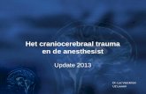 Het craniocerebraal trauma en de anesthesist de anesthesist Update 2013 Dr. Luc Veeckman UZ Leuven Impact van CCT (USA – 2010) Oorzaken van CCT (USA - 2010) Traumatisch hersenlijden