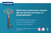 Welk neuro-anatomisch netwerk ligt aan de basis van … Vandermosten.… · Vandermosten et al., 2012, Neuroscience & Biobehavioral Reviews ... 3.2.3 Structurele leesnetwerk bij 6-jarigen