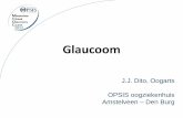 Glaucoom - opsisoogziekenhuis.nl · beschadiging van de retinale zenuwvezels met 2. Karakteristieke zichtbare afwijkingen van de ... A Large Number of RGCs Are Lost Prior to Detectable