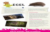 Egel - Dierenasieldoggiedierenasiel.weebly.com/.../2/5/3/1/25316090/spreekbeurt_egel.pdf · De egel houdt een winterslaap Vaste patronen Egels doen veel uit gewoonte. In hun eigen
