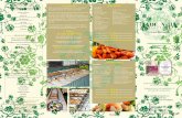 1,25 Chinees Restaurant Al vanaf 10 personen p.p. · 010 262 23 42 • INFO@ECSTUDIO.EU • ©COPYRIGHT 2016 ALL RIGHTS RESERVED EYE CATCHERS STUDIO Rijsttafel Jade Villa Voor 2 personen