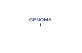 GENOMA I - bmg.fc.ul.ptbmg.fc.ul.pt/Disciplinas/FundBiolMolec/4GenomaI.pdf · Genomas (generalidades) Eucariotas Célula-compartimentos celulares delimitados por membranas Genoma-