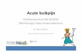 Acute buikpijn - zna.be · Acute buikpijn Herfstsymposium 08/10/2016 ZNA KoninginPaola Kinderziekenhuis Dr. Ellen Peeters Dienstkindergastro-enterologieennutritie