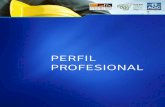 PERFIL PROFESIONAL - cfia.or. a_en... · PDF filePERFIL PROFESIONAL. 2 Colegio: ... Estudio del Trabajo. ... su naturaleza y características fundamentales, clasificación,