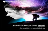 Gebruikershandleiding voor Corel PaintShop Pro 2018help.corel.com/paintshop-pro/v20/main/nl/user-guide/...Inhoud iii Bewerkingen opnemen en op meerdere foto's toepassen. . . . . .