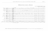 Miserere mei, Deus - WLSCM Home · Antonio Biffi, Miserere mei, Deus, ed. Don Fader, October 2009 Page 9 WEB LIBRARY OF SEVENTEENTH-CENTURY MUSIC (), WLSCM No. 15 Andante e piano