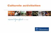 Culturele activiteiten - production-static-cschool.s3-eu ... · • Presentatieavond CKV • Muziek • Tekenen • Handvaardigheid Culturele activiteiten examen kunstvak. Culturele