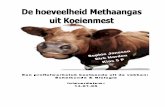 De Hoeveelheid Methaangas uit Koeienmest - Havovwo.nl · Profielwerkstuk De Hoeveelheid Methaangas uit Koeienmest Naam: Harden Sophie Jansen en Dirk ... Koeienmest kan ook worden