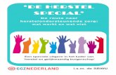 ‘DE HERSTEL SPECIAL’ - ggznederland.nl · Steun bij herstel betekent vragen stellen ipv antwoorden geven De inzet van ervaringskennis Wat is herstelondersteunende zorg? ... stand