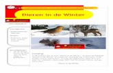 Dieren in de Winter - sjaloomdalfsen.nl in de Winter Project... · Benodigdheden: • zie de Slotop-dracht op blz 8 voor de beno- digde in-grediënten Dieren in de Winter Vaardigheden: