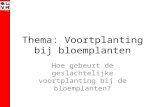 Deel 1: Hoe verkrijgen organismen informatie over hun ...users.telenet.be/michielbrabant/olvh/natuurwetenschappen/... · PPT file · Web viewThema: Voortplanting bij bloemplanten