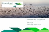 Presentatie Koppeltaal - informatieberaadzorg.nl · Presentatie Koppeltaal Meetup Den Haag, 26 juni 2017 ... Architectuur integratielaag GGZ Draagvlakbij ... Met een ICT-integratiestandaard