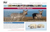 Infoblad bedreigde dieren - maken.wikiwijs.nl · Voor trekvogels kan klimaatverande-ring de planning in de war gooien: op het moment dat er veel rupsen zijn, zitten ze nog op hun