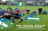 De Reis 2018 kunstkaDe - rozemarijnstrubbe.comrozemarijnstrubbe.com/wp-content/uploads/1308_DEREIS_FOLDA5... · Verslag kunstkade De Reis2018 organiseerde in Leeuwarden bijzondere